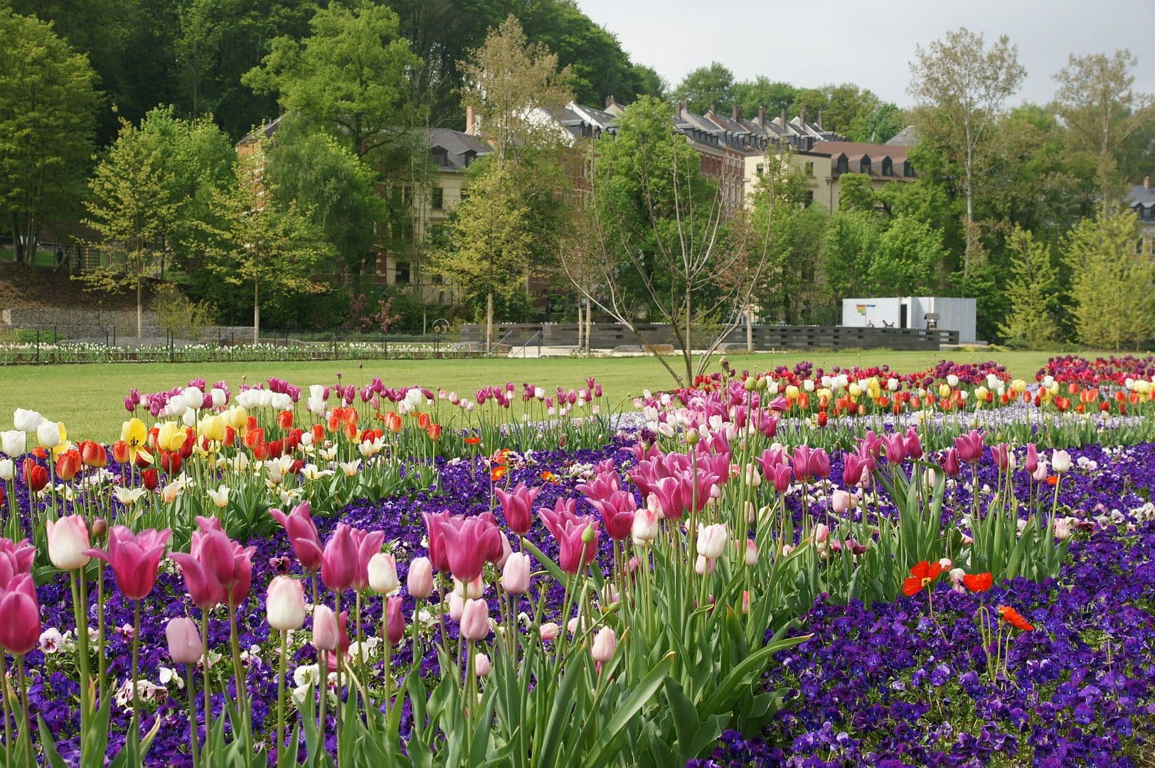 Prodej domu 368 m², pozemek 230 m², Birkenstraße 1, Reichenbach, Sasko Prodej domu 368 m², pozemek 230 m², Birkenstraße 1, Reichenbach, Sasko