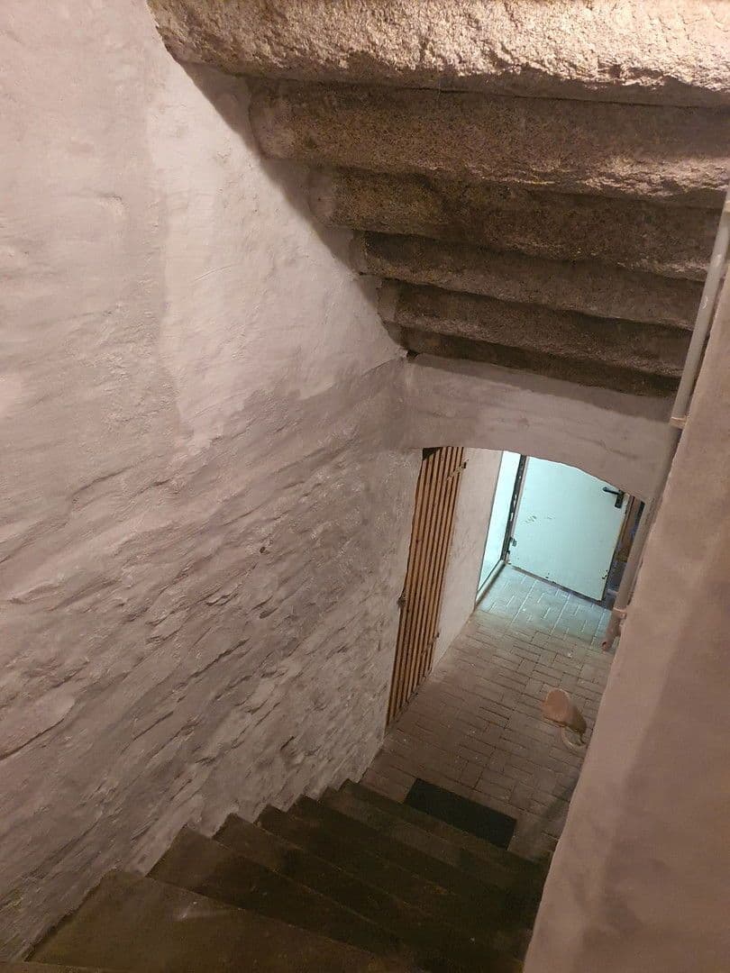 Prodej domu 368 m², pozemek 230 m², Birkenstraße 1, Reichenbach, Sasko Prodej domu 368 m², pozemek 230 m², Birkenstraße 1, Reichenbach, Sasko