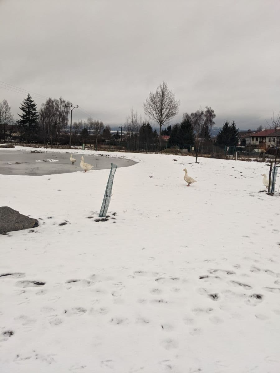 Prodej domu 195 m², pozemek 5.647 m², V sadech, Rožmitál pod Třemšínem, Středočeský kraj Prodej domu 195 m², pozemek 5.647 m², V sadech, Rožmitál pod Třemšínem, Středočeský kraj