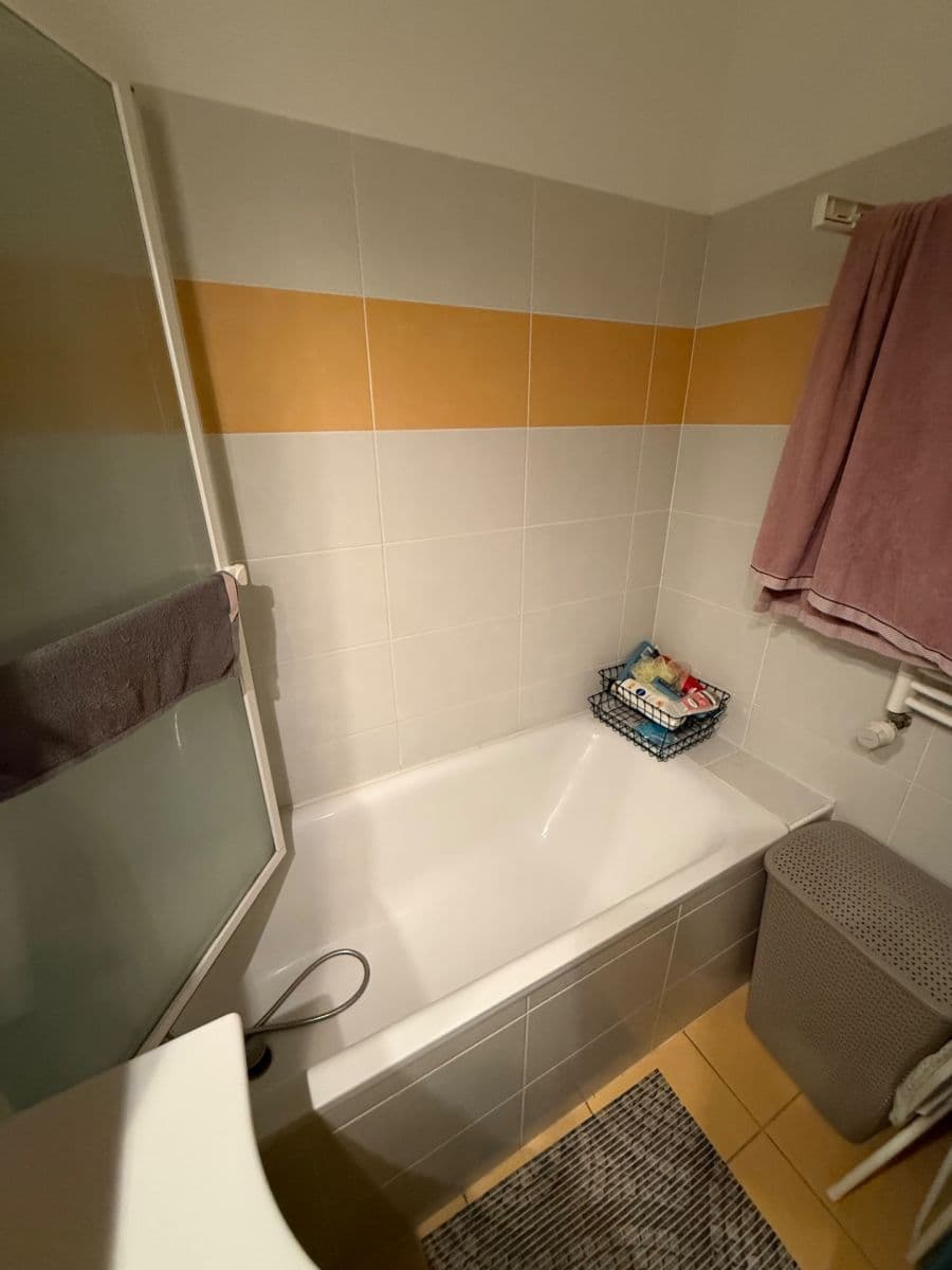 Pronájem bytu 2+kk 56 m², Čeňka Růžičky, Brno, Jihomoravský kraj Pronájem bytu 2+kk 56 m², Čeňka Růžičky, Brno, Jihomoravský kraj