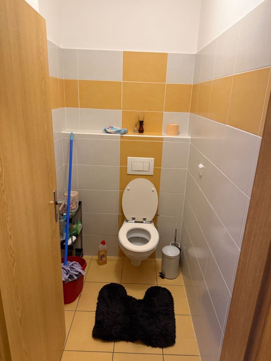 Pronájem bytu 2+kk 56 m², Čeňka Růžičky, Brno, Jihomoravský kraj Pronájem bytu 2+kk 56 m², Čeňka Růžičky, Brno, Jihomoravský kraj