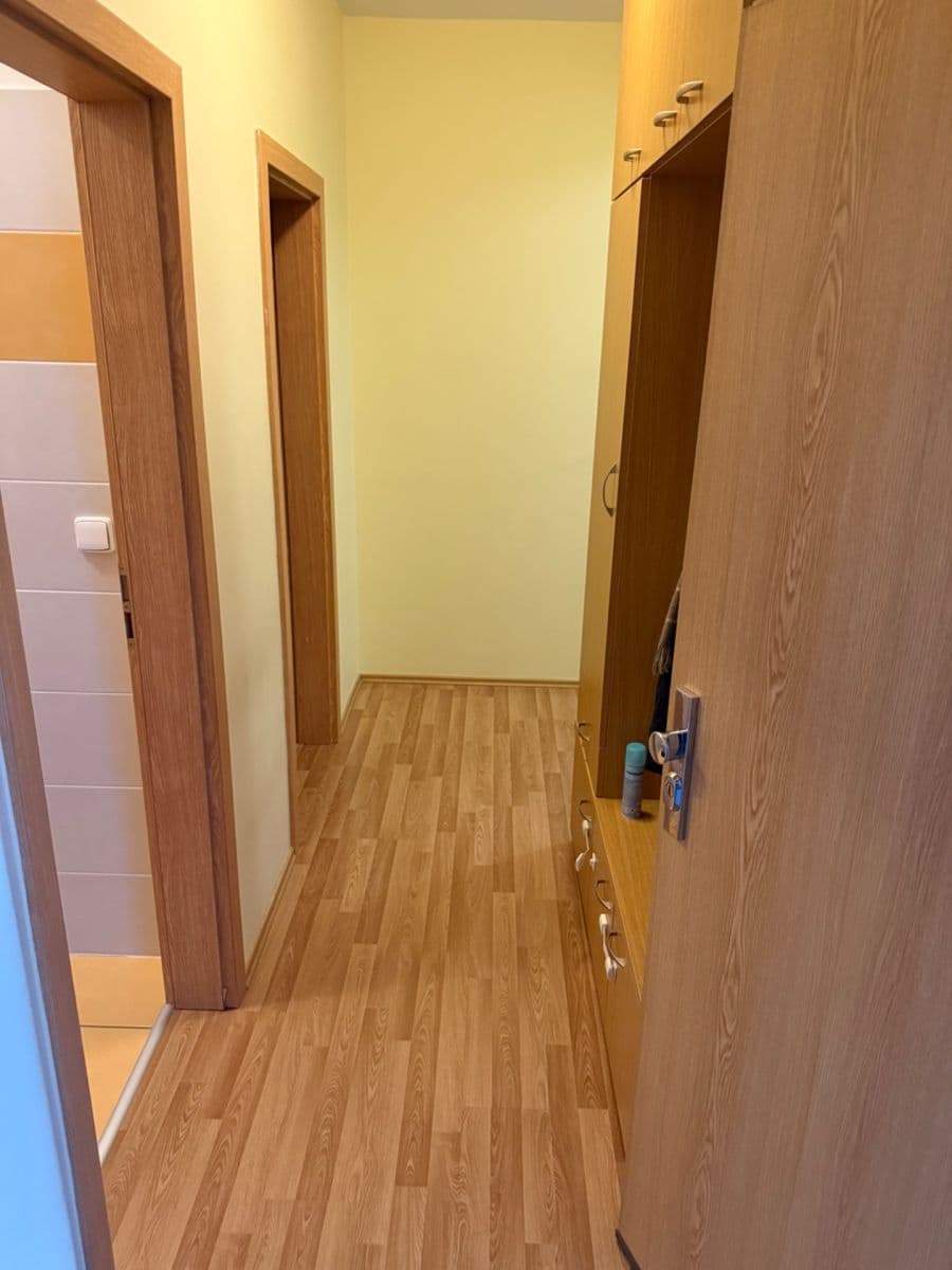 Pronájem bytu 2+kk 56 m², Čeňka Růžičky, Brno, Jihomoravský kraj Pronájem bytu 2+kk 56 m², Čeňka Růžičky, Brno, Jihomoravský kraj