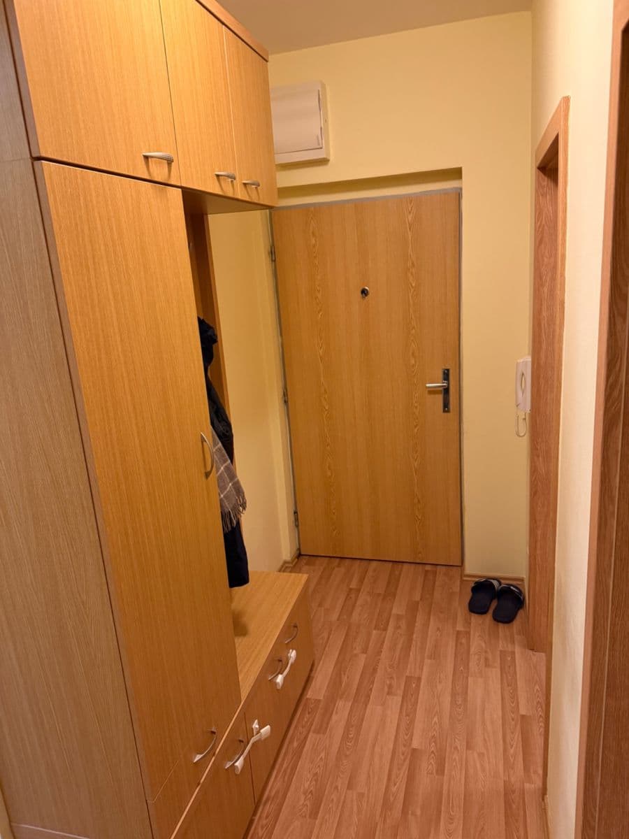 Pronájem bytu 2+kk 56 m², Čeňka Růžičky, Brno, Jihomoravský kraj Pronájem bytu 2+kk 56 m², Čeňka Růžičky, Brno, Jihomoravský kraj