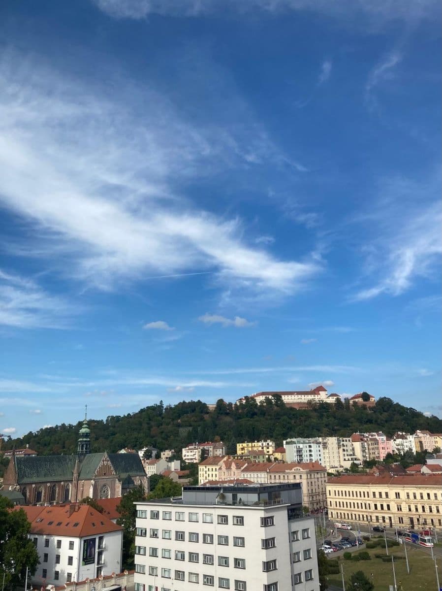 Pronájem bytu 2+1 54 m², Mendlovo náměstí, Brno, Jihomoravský kraj Pronájem bytu 2+1 54 m², Mendlovo náměstí, Brno, Jihomoravský kraj