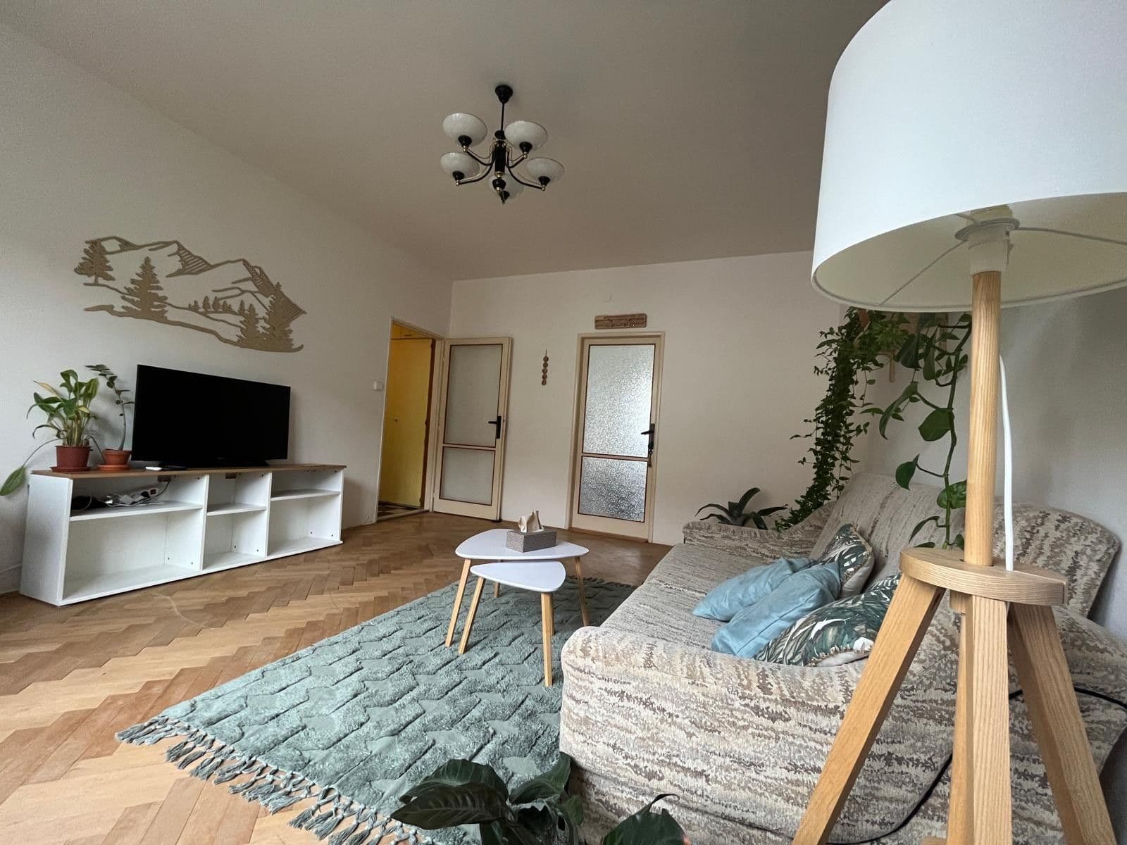 Pronájem bytu 2+1 53 m², Bolzanova, Brno, Jihomoravský kraj Pronájem bytu 2+1 53 m², Bolzanova, Brno, Jihomoravský kraj