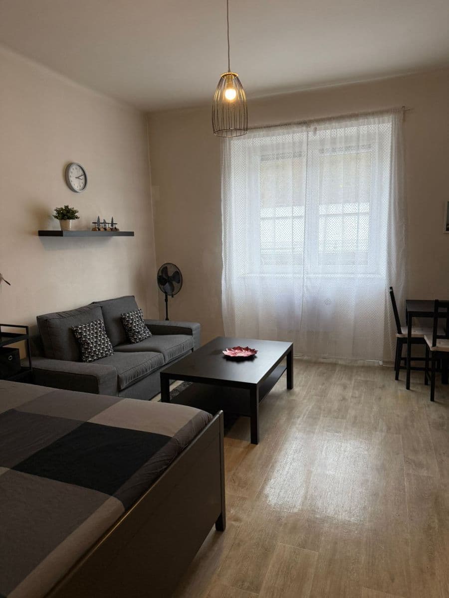 Pronájem bytu 1+kk 36 m², Vrchlického, Praha, Praha Pronájem bytu 1+kk 36 m², Vrchlického, Praha, Praha