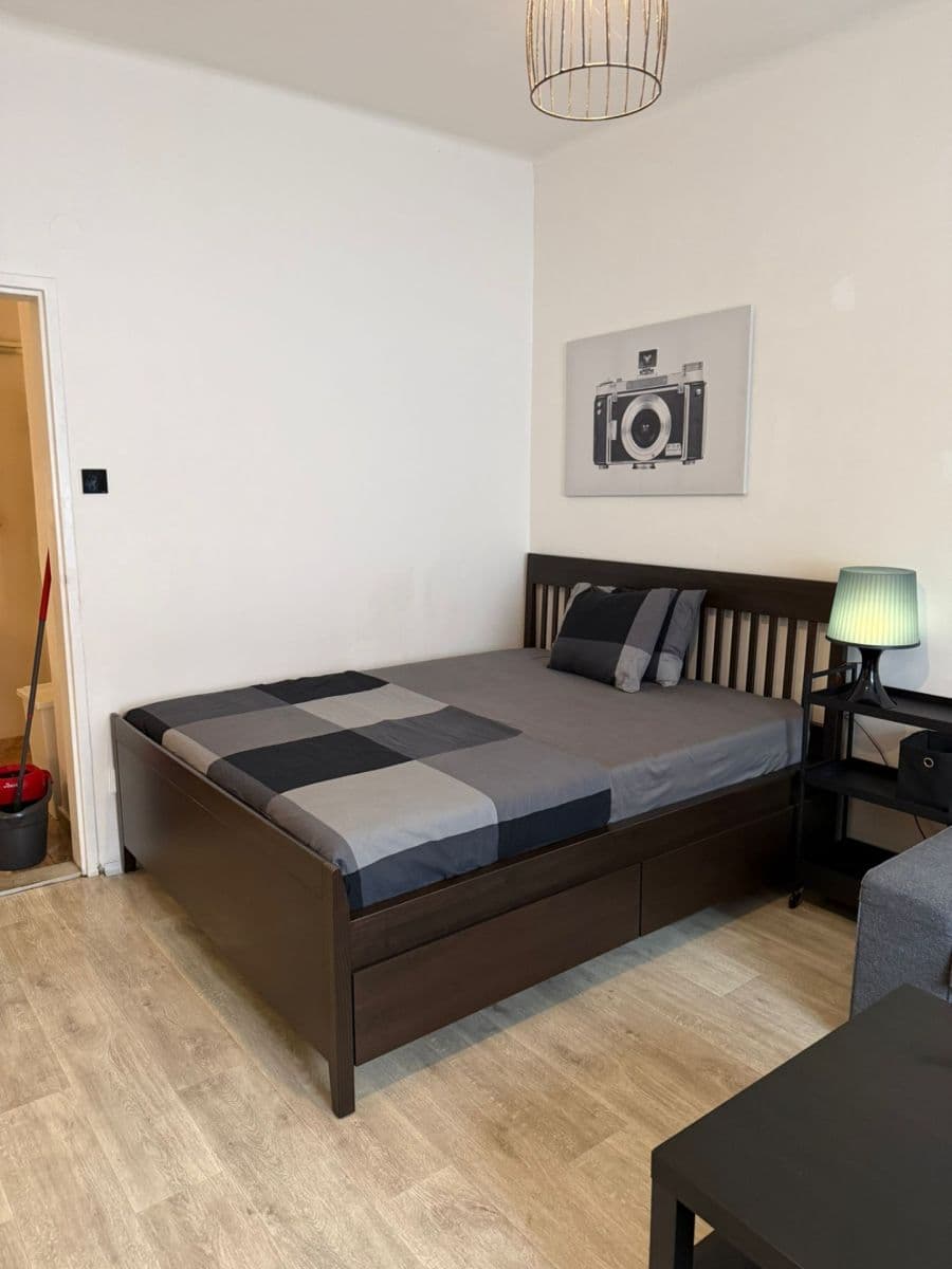 Pronájem bytu 1+kk 36 m², Vrchlického, Praha, Praha Pronájem bytu 1+kk 36 m², Vrchlického, Praha, Praha
