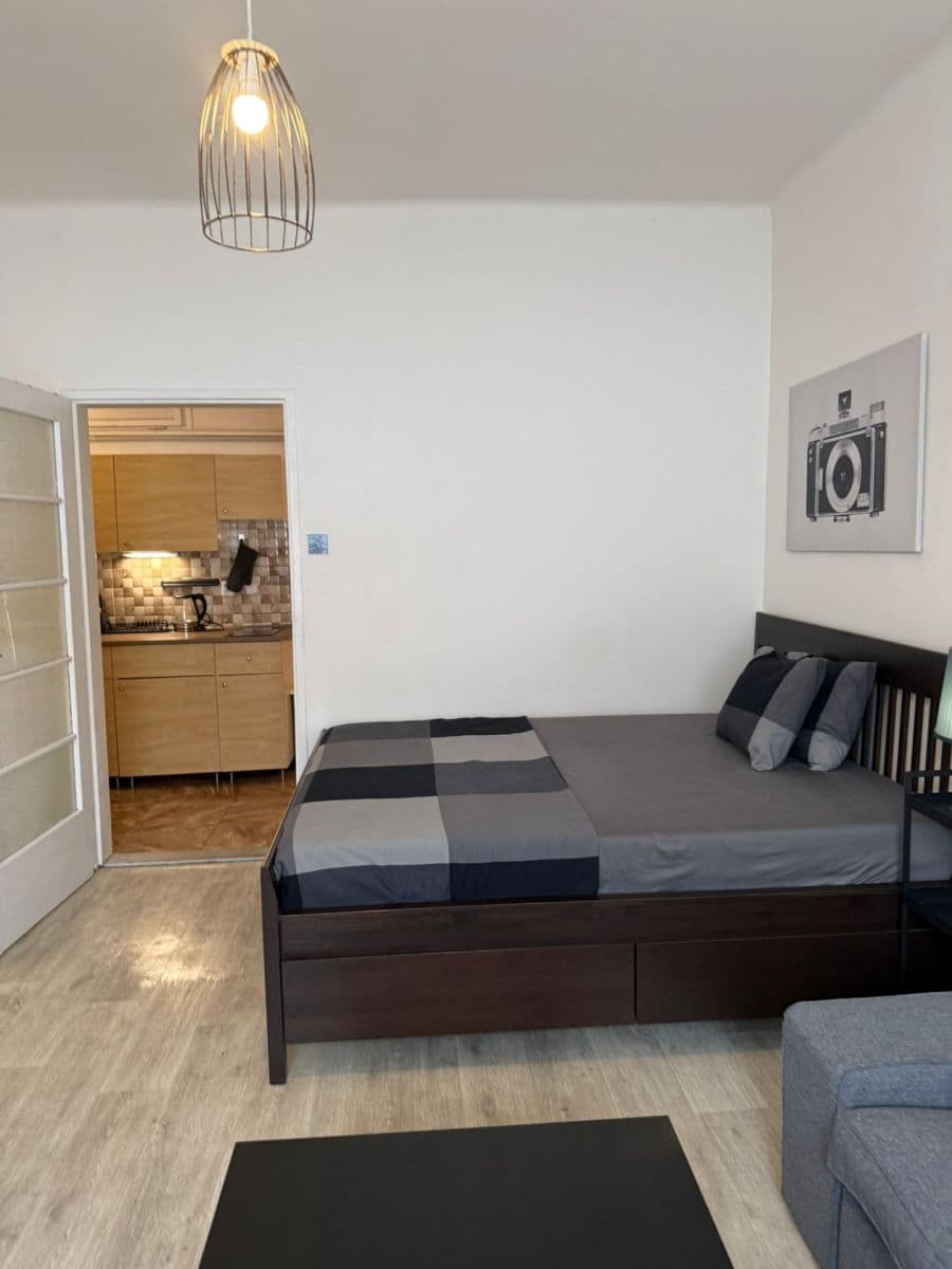 Pronájem bytu 1+kk 36 m², Vrchlického, Praha, Praha Pronájem bytu 1+kk 36 m², Vrchlického, Praha, Praha