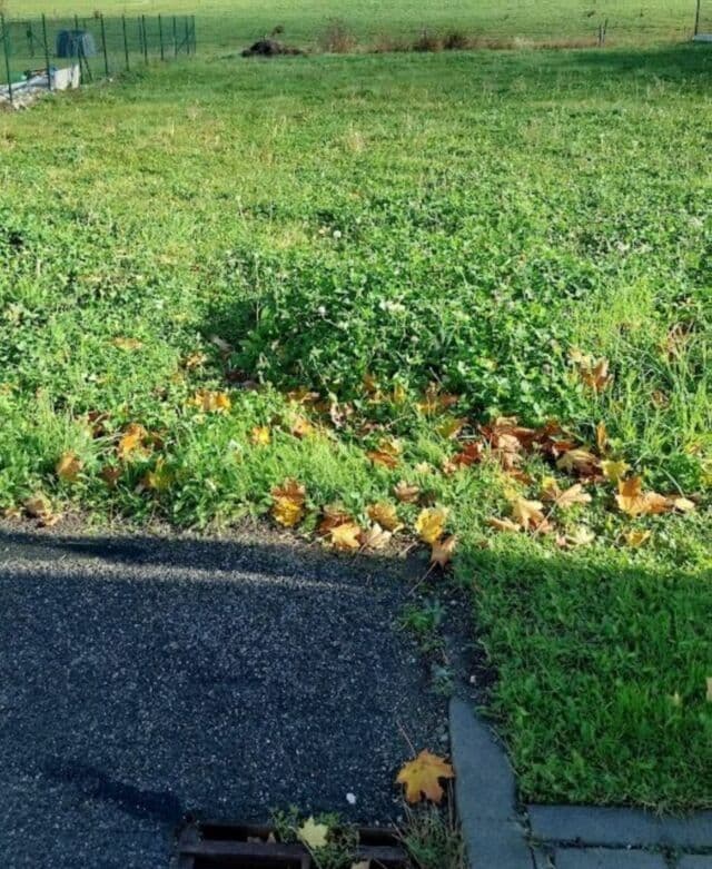 Prodej pozemku 812 m², Mladá Boleslav, Středočeský kraj Prodej pozemku 812 m², Mladá Boleslav, Středočeský kraj