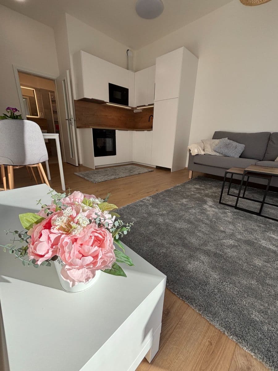 Pronájem bytu 2+kk 42 m², Hermanové, Praha, Praha Pronájem bytu 2+kk 42 m², Hermanové, Praha, Praha