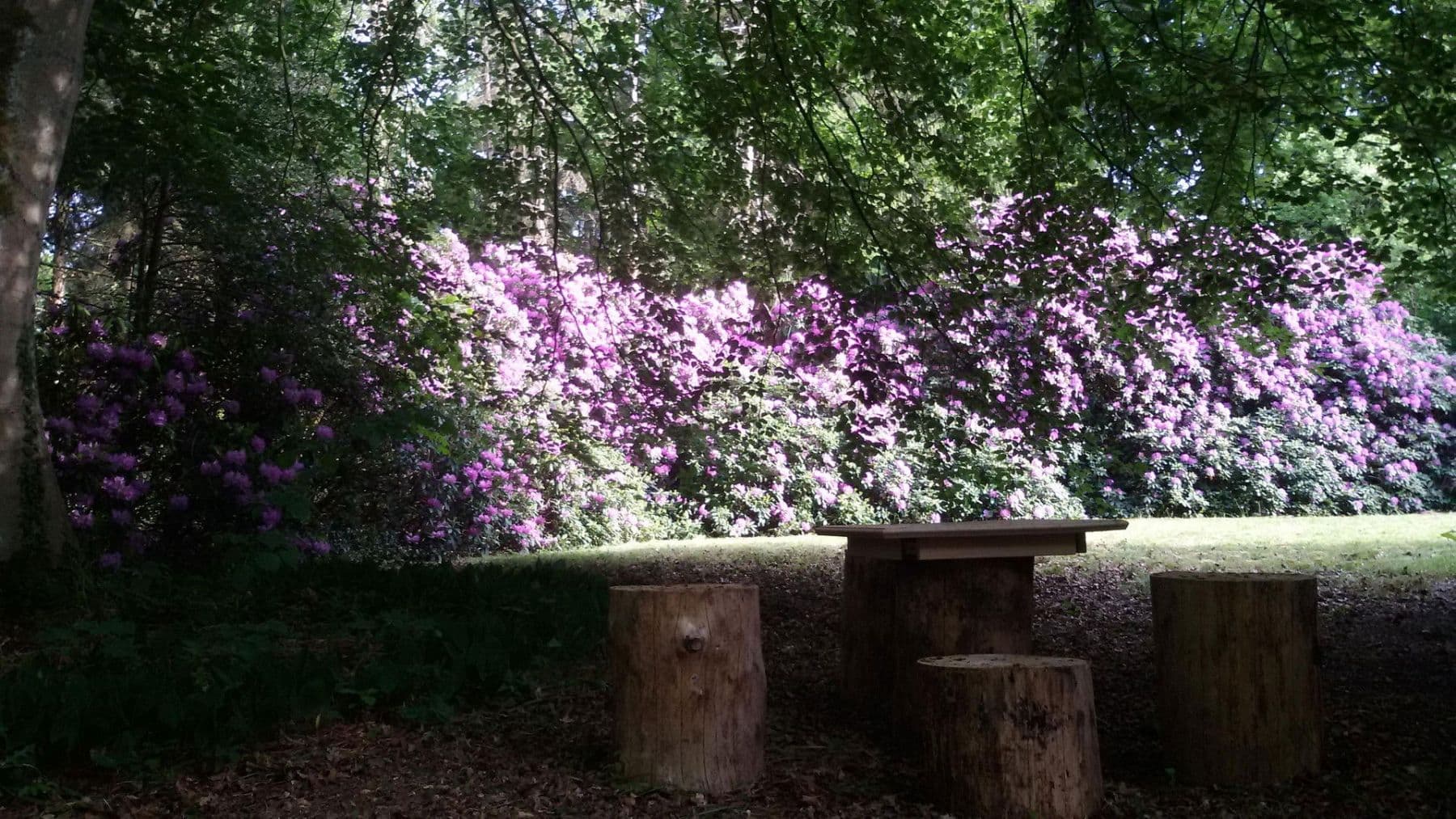 Pronájem bytu 2+kk 82 m², Schneverdingen, Dolní Sasko Pronájem bytu 2+kk 82 m², Schneverdingen, Dolní Sasko