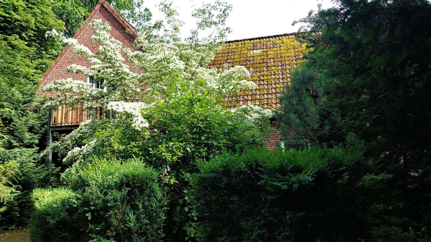 Pronájem bytu 2+kk 82 m², Schneverdingen, Dolní Sasko Pronájem bytu 2+kk 82 m², Schneverdingen, Dolní Sasko