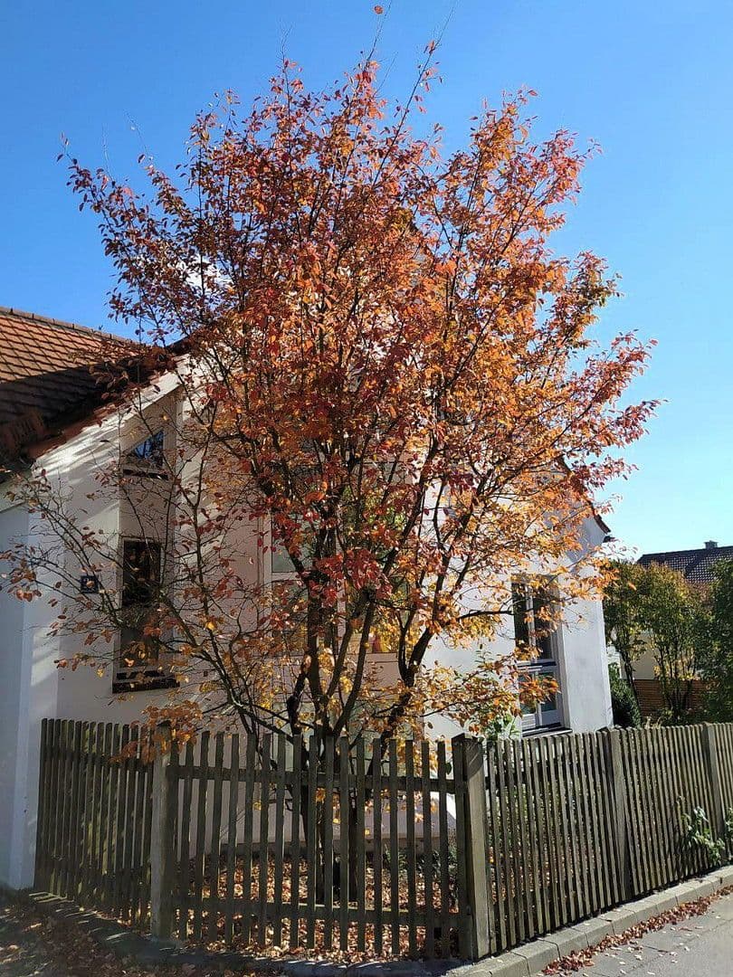 Prodej domu 300 m², pozemek 971 m², Dietfurt an der Altmühl, Bavorsko Prodej domu 300 m², pozemek 971 m², Dietfurt an der Altmühl, Bavorsko