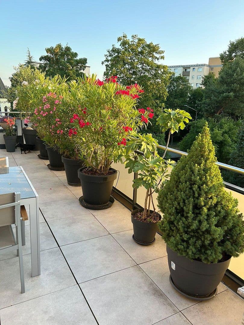 Pronájem bytu 4+1 106 m², Kennedystraße 96, Maintal, Hessen Pronájem bytu 4+1 106 m², Kennedystraße 96, Maintal, Hessen