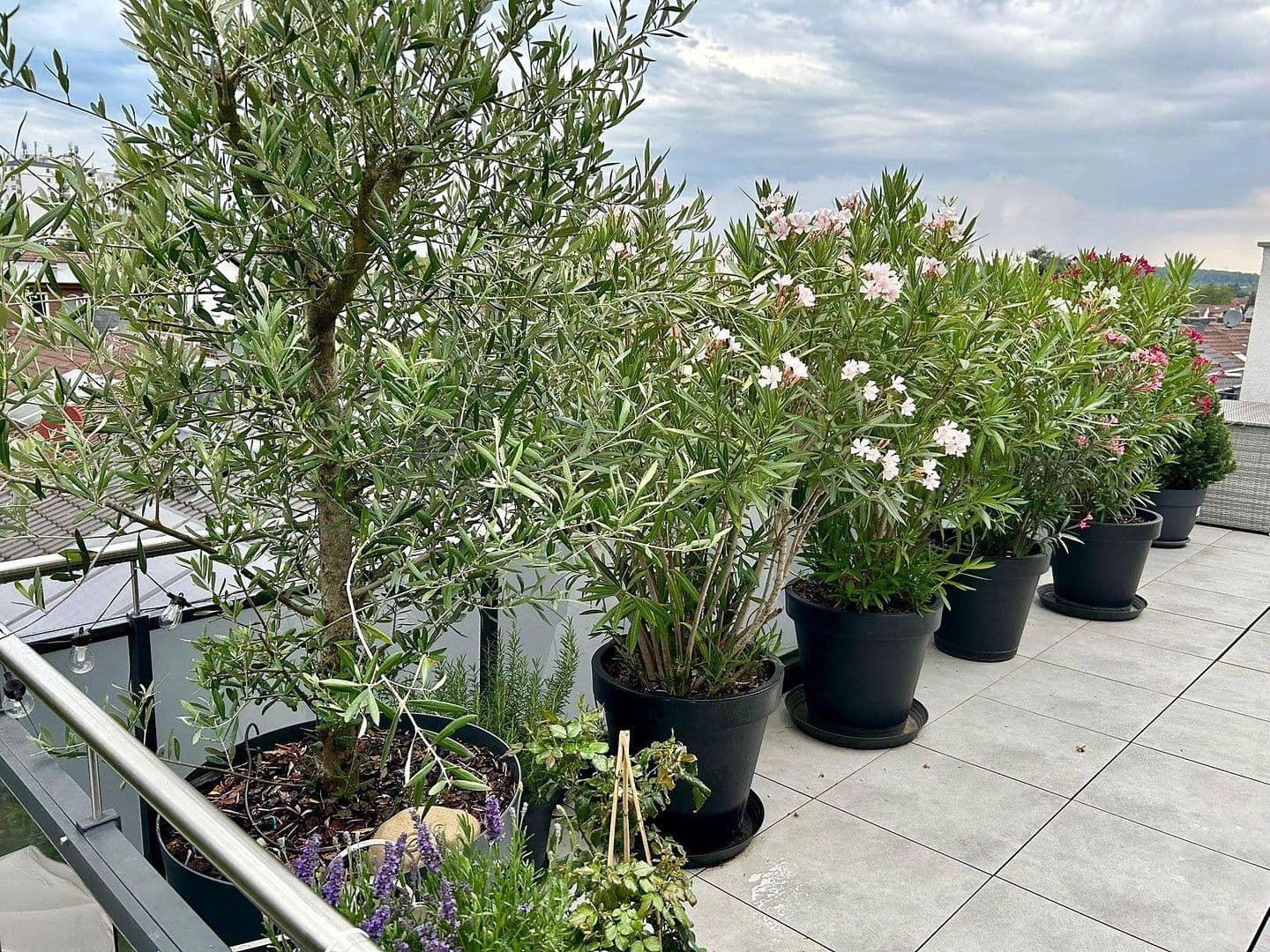 Pronájem bytu 4+1 106 m², Kennedystraße 96, Maintal, Hessen Pronájem bytu 4+1 106 m², Kennedystraße 96, Maintal, Hessen