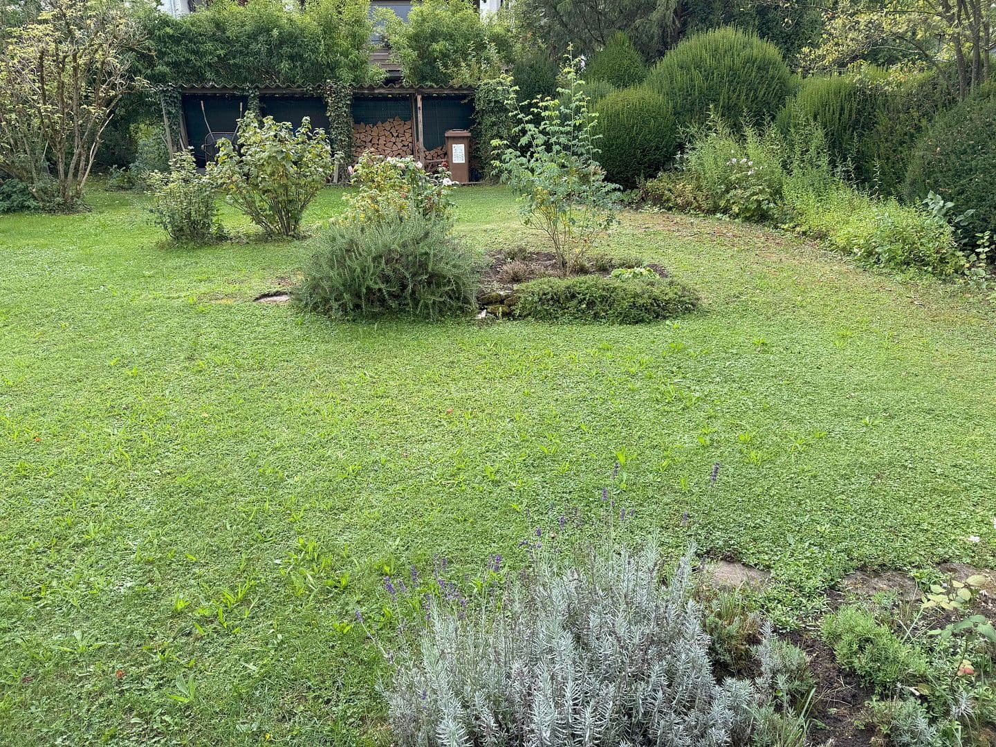 Prodej domu 125 m², pozemek 426 m², Großgartenweg 13, Murrhardt, Bádensko-Württembersko Prodej domu 125 m², pozemek 426 m², Großgartenweg 13, Murrhardt, Bádensko-Württembersko