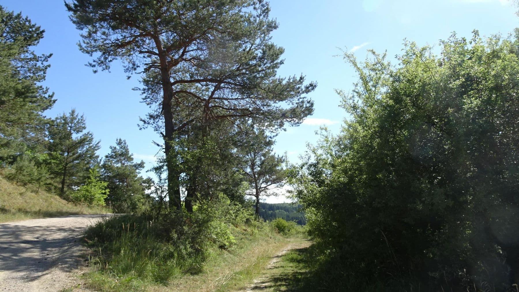 Prodej domu 50 m², pozemek 445 m², Blankenheim, Severní Porýní-Vestfálsko Prodej domu 50 m², pozemek 445 m², Blankenheim, Severní Porýní-Vestfálsko