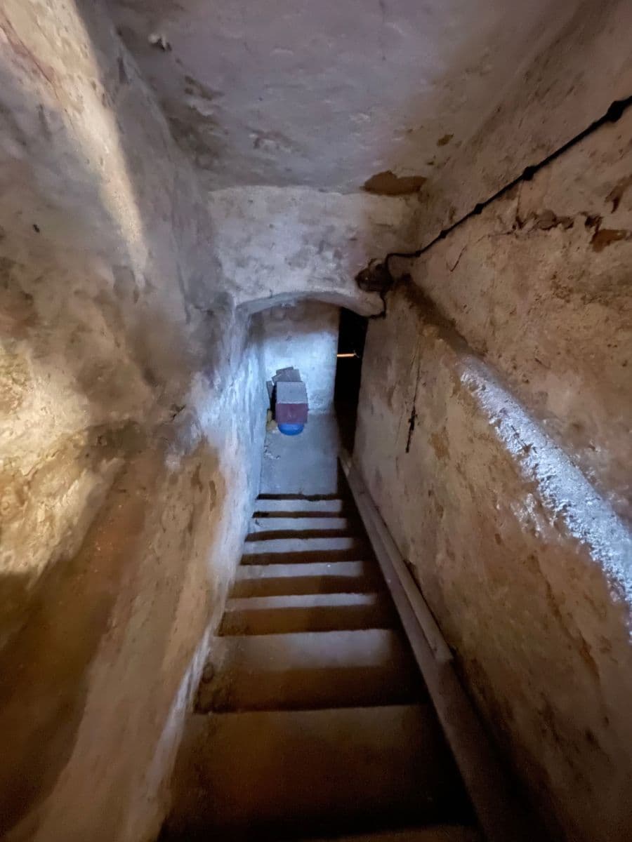 Prodej domu 320 m², pozemek 306 m², Resslova, Plzeň, Plzeňský kraj Prodej domu 320 m², pozemek 306 m², Resslova, Plzeň, Plzeňský kraj