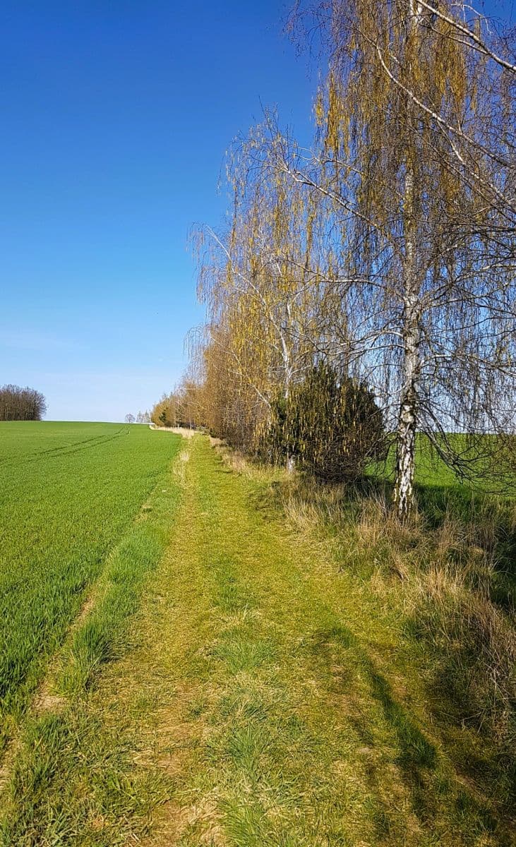 Prodej pozemku 928 m², Velká Jesenice, Královéhradecký kraj Prodej pozemku 928 m², Velká Jesenice, Královéhradecký kraj