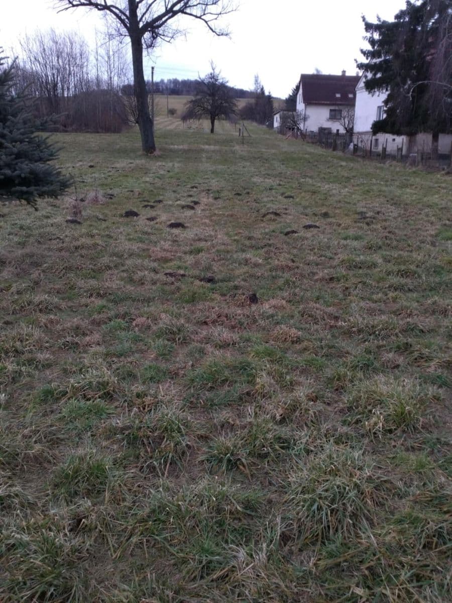 Prodej pozemku 1.428 m², Supíkovice, Olomoucký kraj Prodej pozemku 1.428 m², Supíkovice, Olomoucký kraj