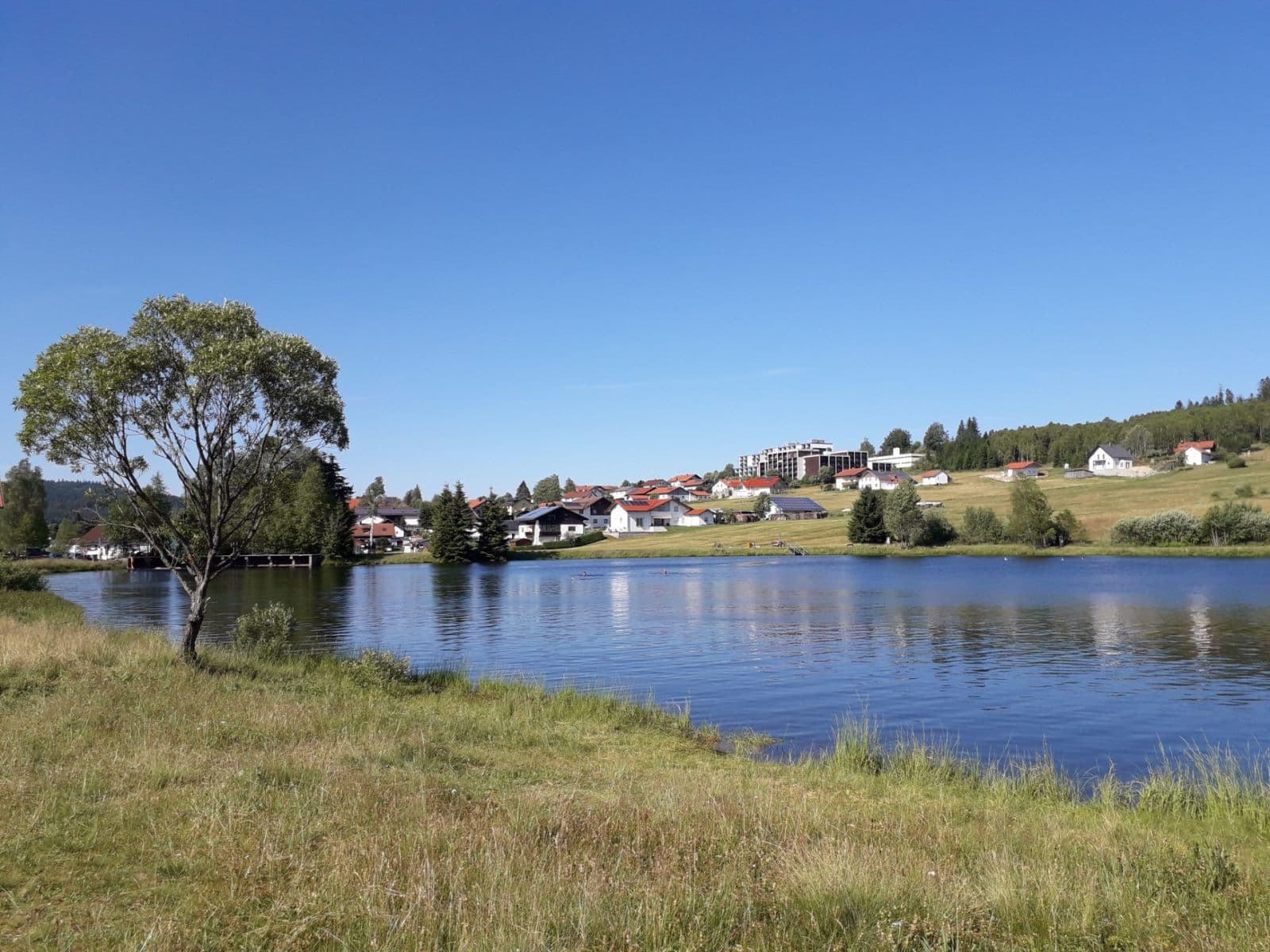 Pronájem bytu 1+kk 38 m², Na spálenici, Stožec, Jihočeský kraj Pronájem bytu 1+kk 38 m², Na spálenici, Stožec, Jihočeský kraj