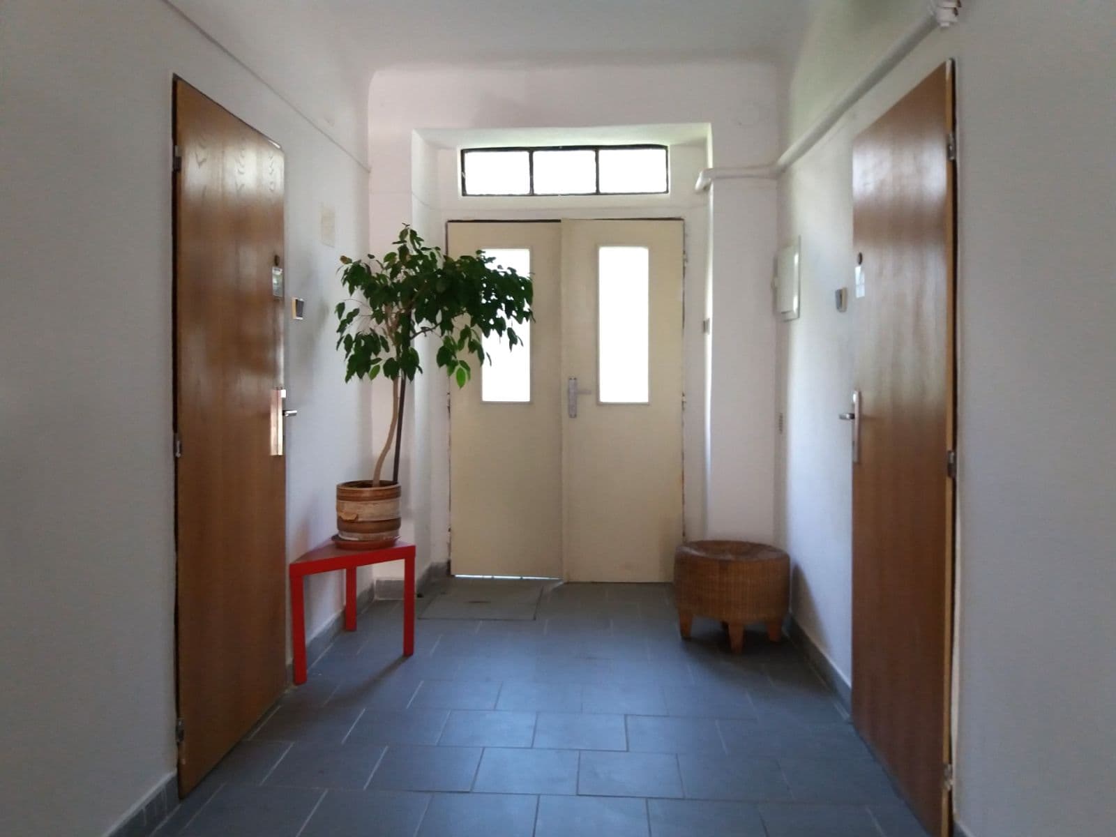 Pronájem nebytového prostoru 57 m², Čapkova, Praha, Praha Pronájem nebytového prostoru 57 m², Čapkova, Praha, Praha