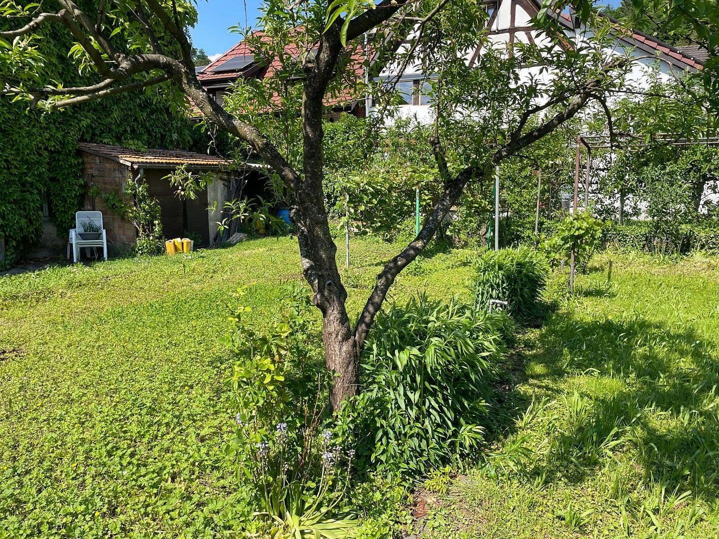 Prodej domu 114 m², pozemek 250 m², Klosterstr. 6, Grenzach-Wyhlen, Bádensko-Württembersko Prodej domu 114 m², pozemek 250 m², Klosterstr. 6, Grenzach-Wyhlen, Bádensko-Württembersko