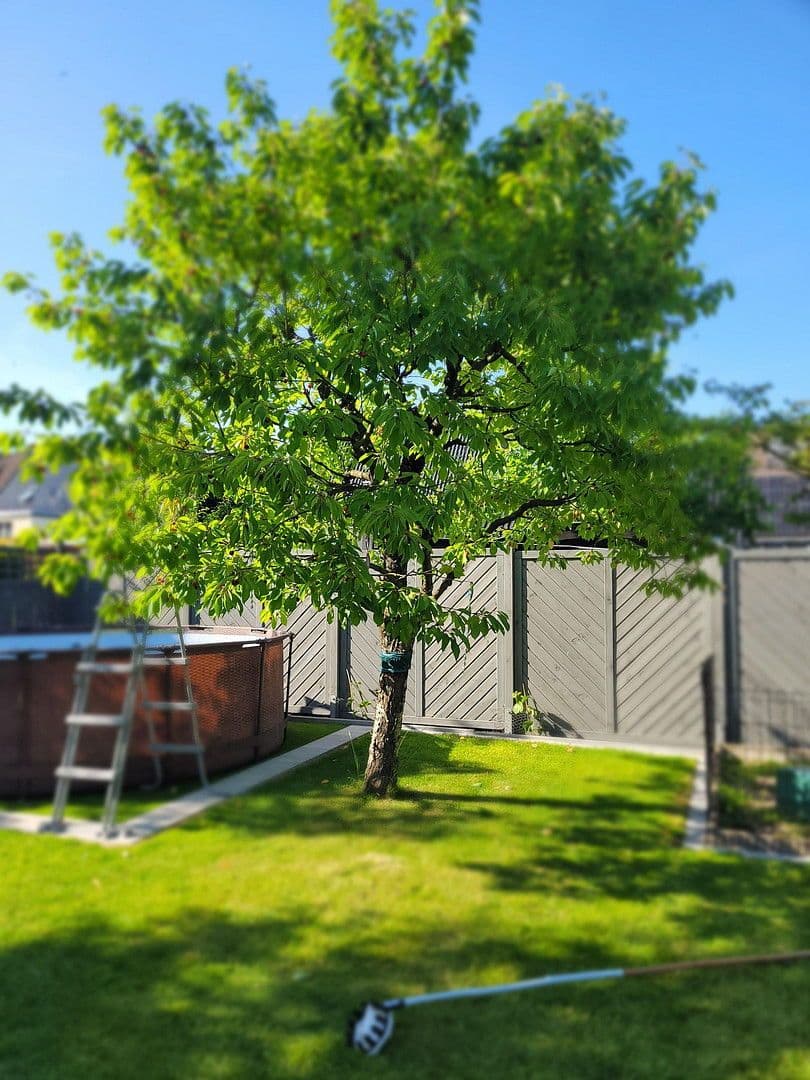 Prodej domu 168 m², pozemek 906 m², Wolfsburg, Dolní Sasko Prodej domu 168 m², pozemek 906 m², Wolfsburg, Dolní Sasko