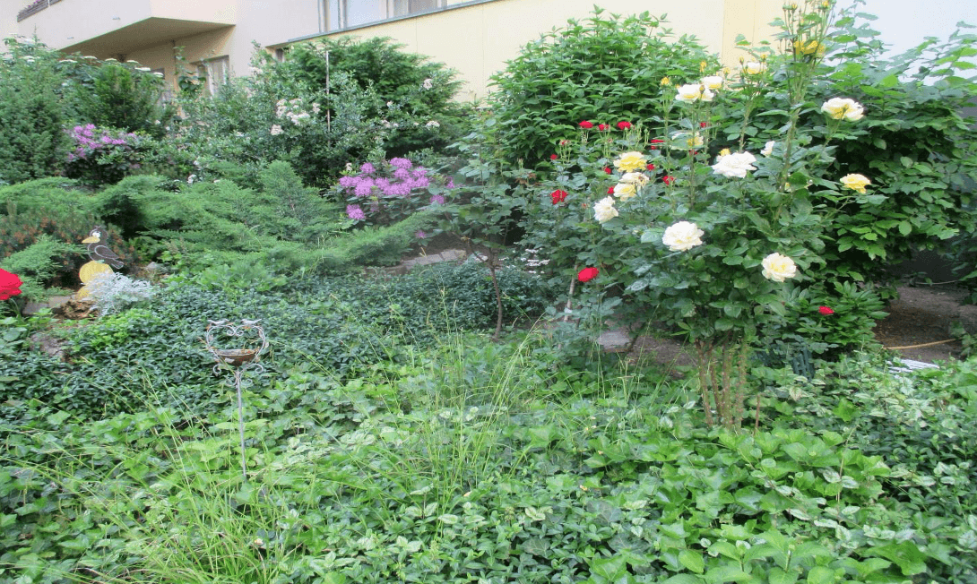 Pronájem bytu 1+1 43 m², Berlin, Berlín Pronájem bytu 1+1 43 m², Berlin, Berlín