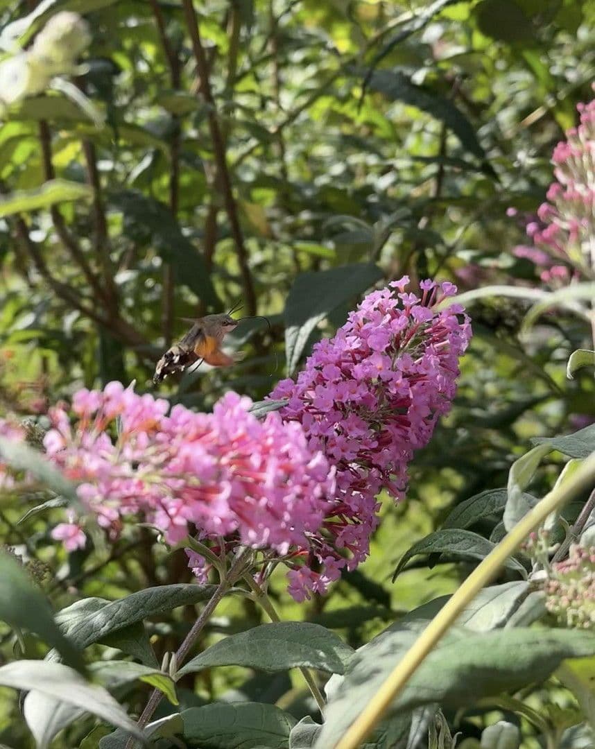 Prodej domu 131 m², pozemek 672 m², Neukirchen bei Sulzbach-Rosenberg, Bavorsko Prodej domu 131 m², pozemek 672 m², Neukirchen bei Sulzbach-Rosenberg, Bavorsko
