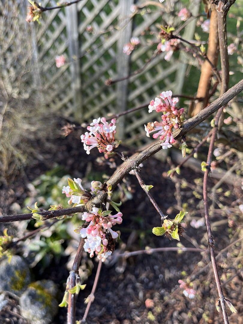 Prodej domu 131 m², pozemek 672 m², Neukirchen bei Sulzbach-Rosenberg, Bavorsko Prodej domu 131 m², pozemek 672 m², Neukirchen bei Sulzbach-Rosenberg, Bavorsko