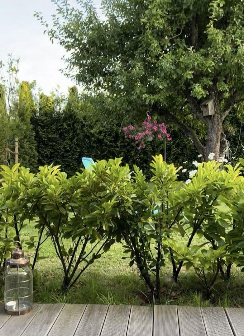 Prodej domu 86 m², pozemek 595 m², Warwerort, Šlesvicko-Holštýnsko Prodej domu 86 m², pozemek 595 m², Warwerort, Šlesvicko-Holštýnsko