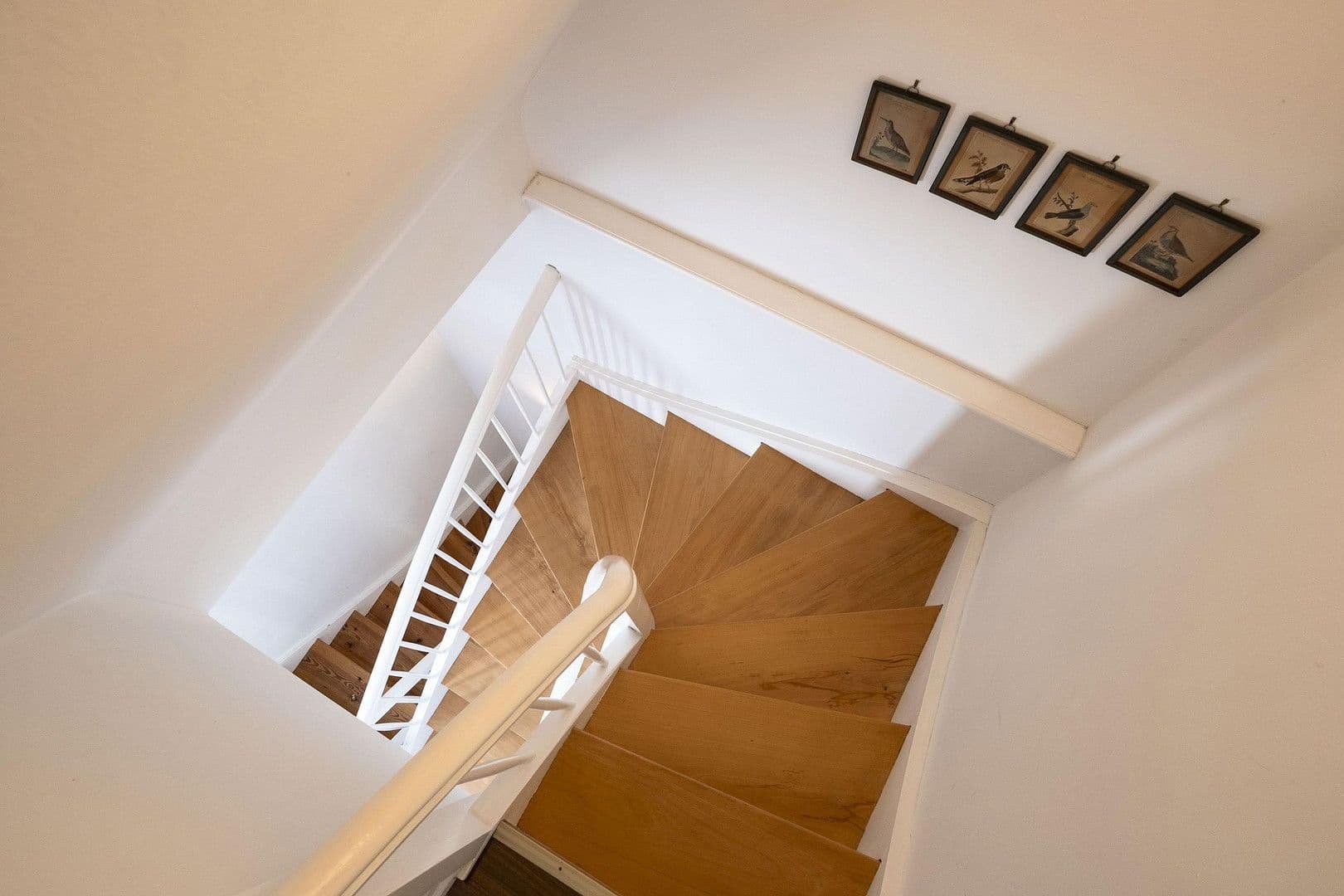 Pronájem domu 130 m², pozemek 446 m², Maikammer, Porýní-Falc Pronájem domu 130 m², pozemek 446 m², Maikammer, Porýní-Falc