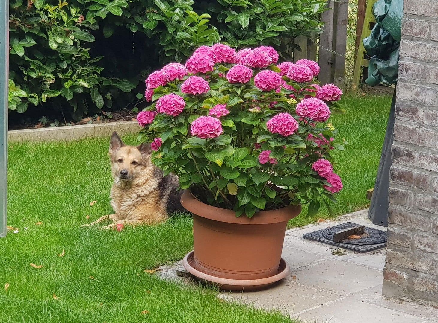 Prodej domu 126 m², pozemek 270 m², Rheinberg, Severní Porýní-Vestfálsko Prodej domu 126 m², pozemek 270 m², Rheinberg, Severní Porýní-Vestfálsko