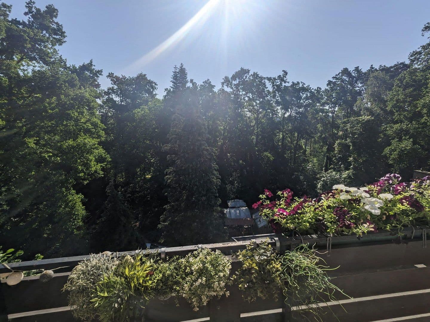 Pronájem bytu 4+1 120 m², Am Mariensteig 20a, Schwabach, Bavorsko Pronájem bytu 4+1 120 m², Am Mariensteig 20a, Schwabach, Bavorsko