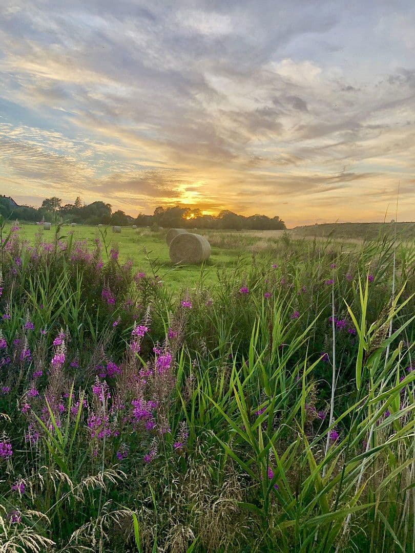 Prodej domu 125 m², pozemek 387 m², Nordosterdeich 74, Neukirchen, Šlesvicko-Holštýnsko Prodej domu 125 m², pozemek 387 m², Nordosterdeich 74, Neukirchen, Šlesvicko-Holštýnsko