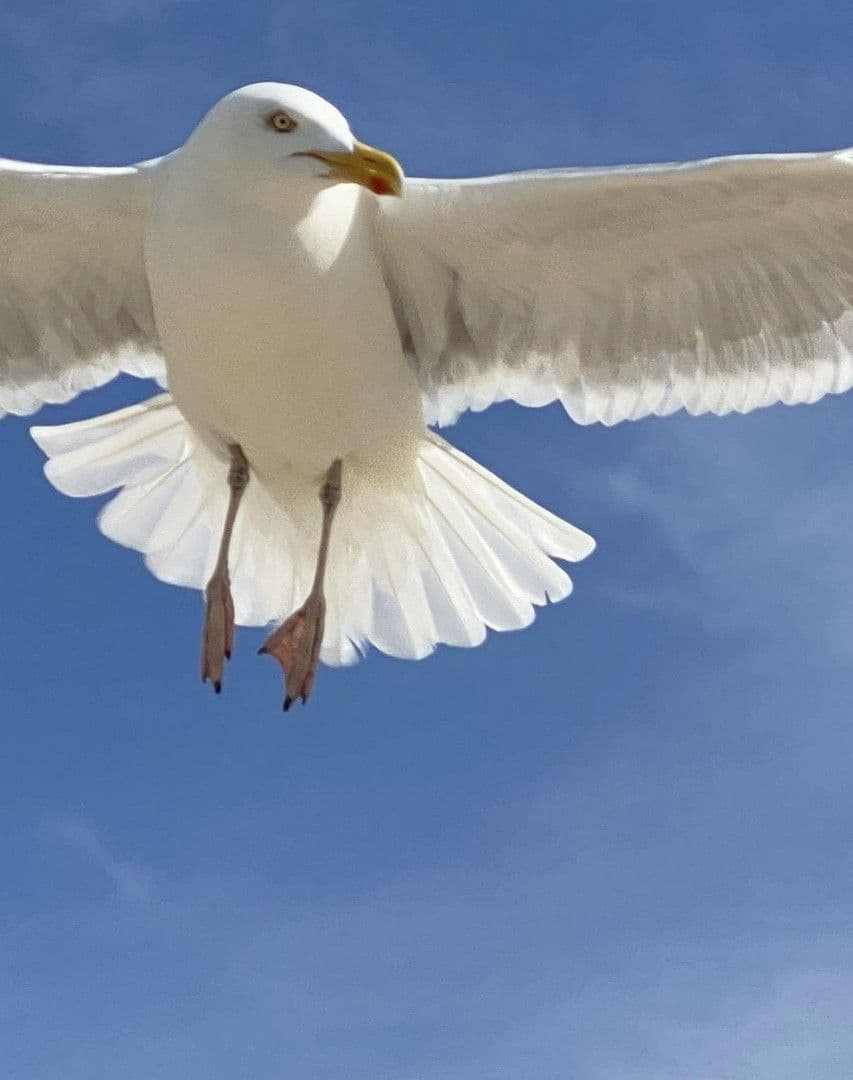 Prodej bytu 3+1 34 m², Muschelweg 8A, Norden, Dolní Sasko Prodej bytu 3+1 34 m², Muschelweg 8A, Norden, Dolní Sasko