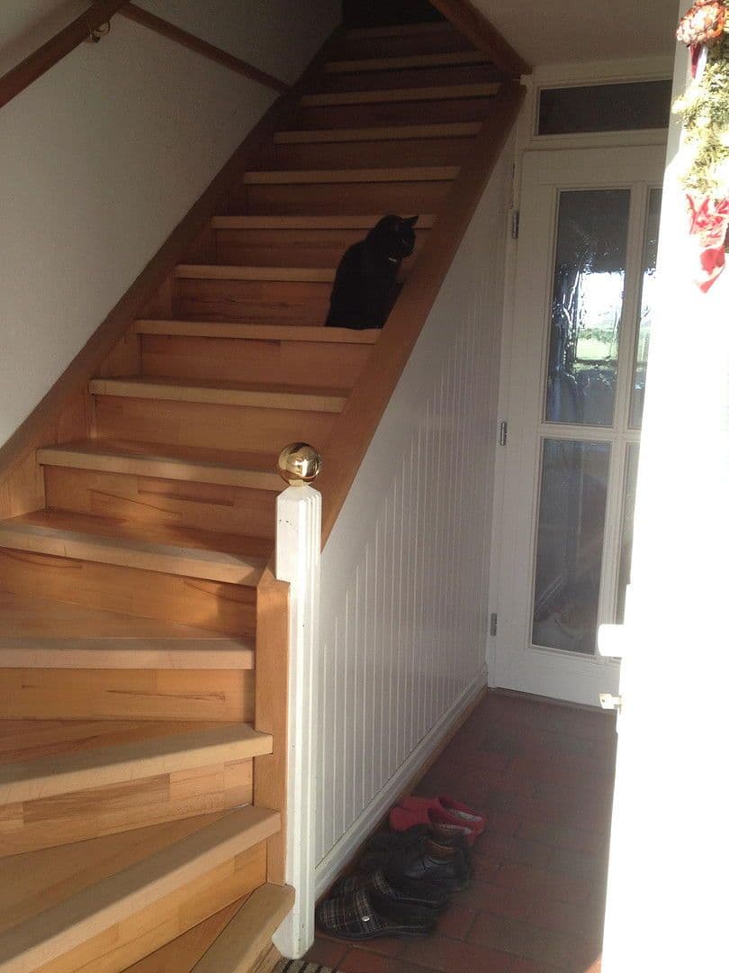 Prodej domu 500 m², pozemek 3.900 m², Penzlin, Mecklenburg-Vorpommern Prodej domu 500 m², pozemek 3.900 m², Penzlin, Mecklenburg-Vorpommern