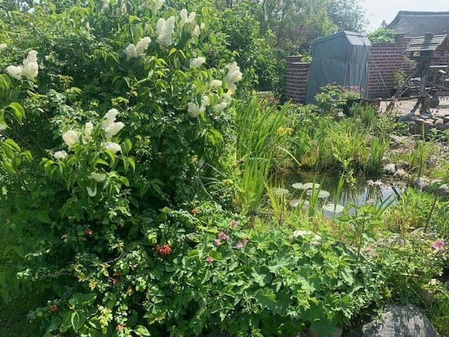 Prodej domu 200 m², pozemek 1.450 m², Dierhagen, Mecklenburg-Vorpommern Prodej domu 200 m², pozemek 1.450 m², Dierhagen, Mecklenburg-Vorpommern