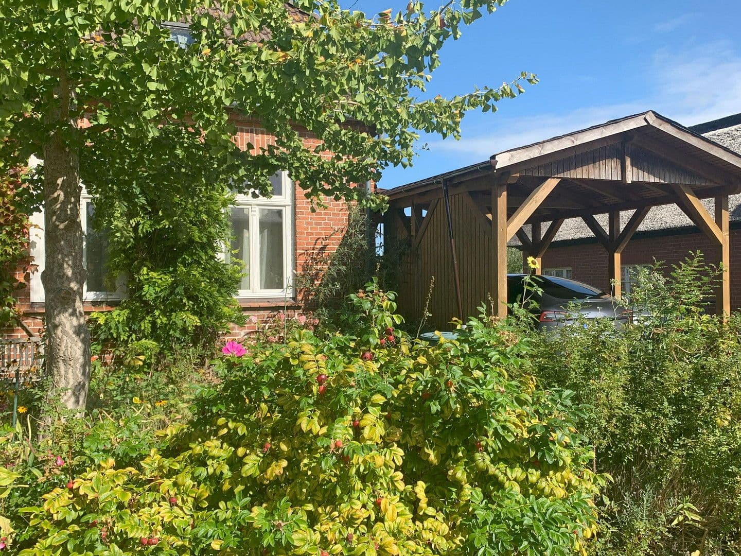 Prodej domu 200 m², pozemek 1.450 m², Dierhagen, Mecklenburg-Vorpommern Prodej domu 200 m², pozemek 1.450 m², Dierhagen, Mecklenburg-Vorpommern