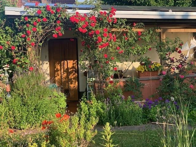 Prodej domu 200 m², pozemek 1.450 m², Dierhagen, Mecklenburg-Vorpommern Prodej domu 200 m², pozemek 1.450 m², Dierhagen, Mecklenburg-Vorpommern