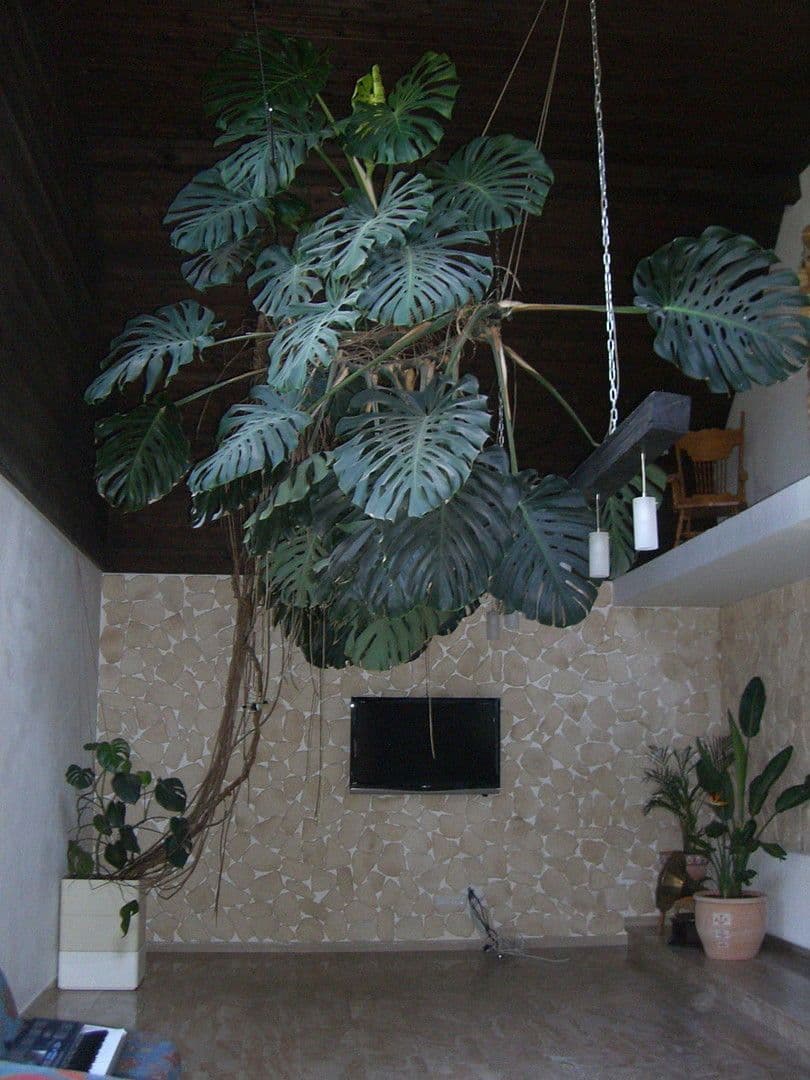 Prodej domu 202 m², pozemek 680 m², Egmating, Bavorsko Prodej domu 202 m², pozemek 680 m², Egmating, Bavorsko