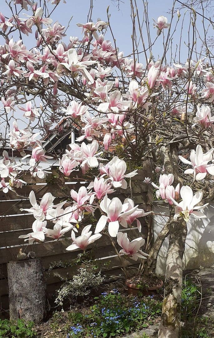 Prodej domu 202 m², pozemek 680 m², Egmating, Bavorsko Prodej domu 202 m², pozemek 680 m², Egmating, Bavorsko