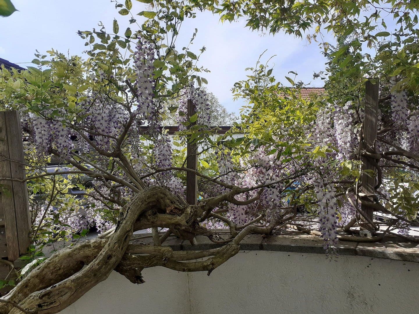 Prodej domu 202 m², pozemek 680 m², Egmating, Bavorsko Prodej domu 202 m², pozemek 680 m², Egmating, Bavorsko