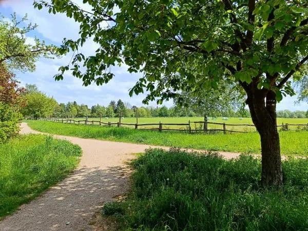 Prodej domu 125 m², pozemek 400 m², Berlin, Berlín Prodej domu 125 m², pozemek 400 m², Berlin, Berlín