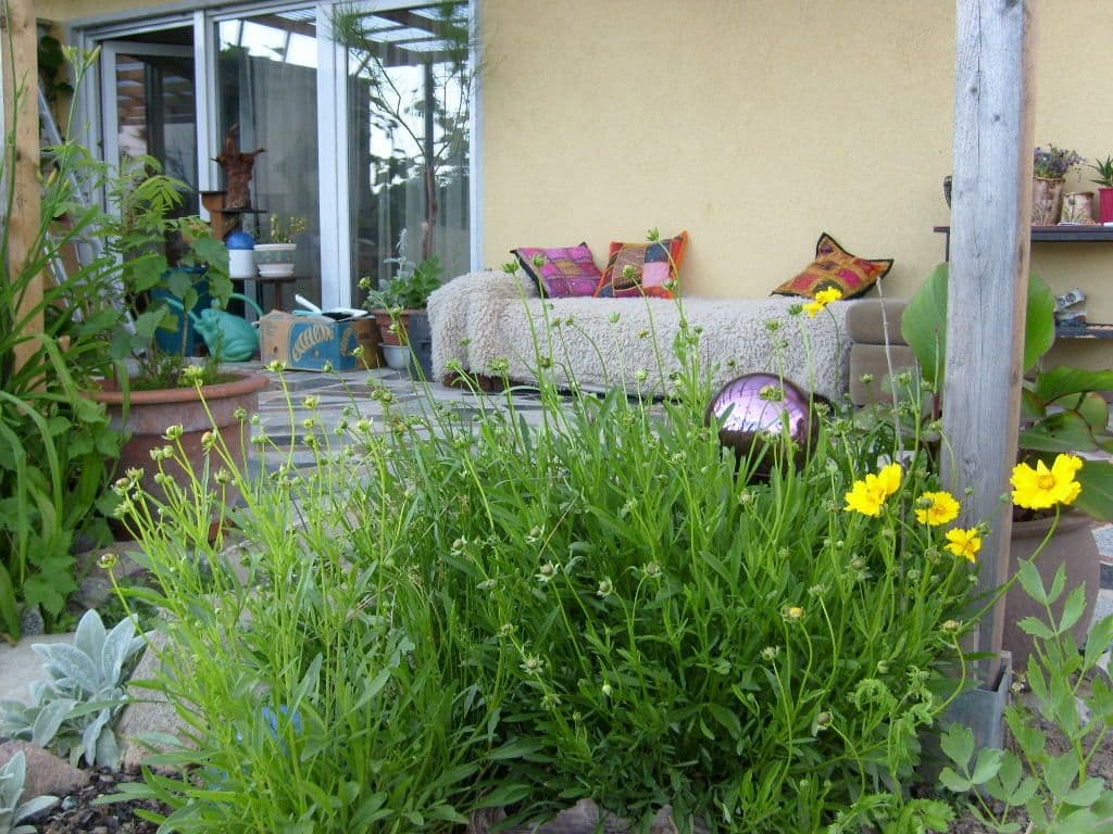 Prodej domu 203 m², pozemek 1.230 m², Machern, Sasko Prodej domu 203 m², pozemek 1.230 m², Machern, Sasko