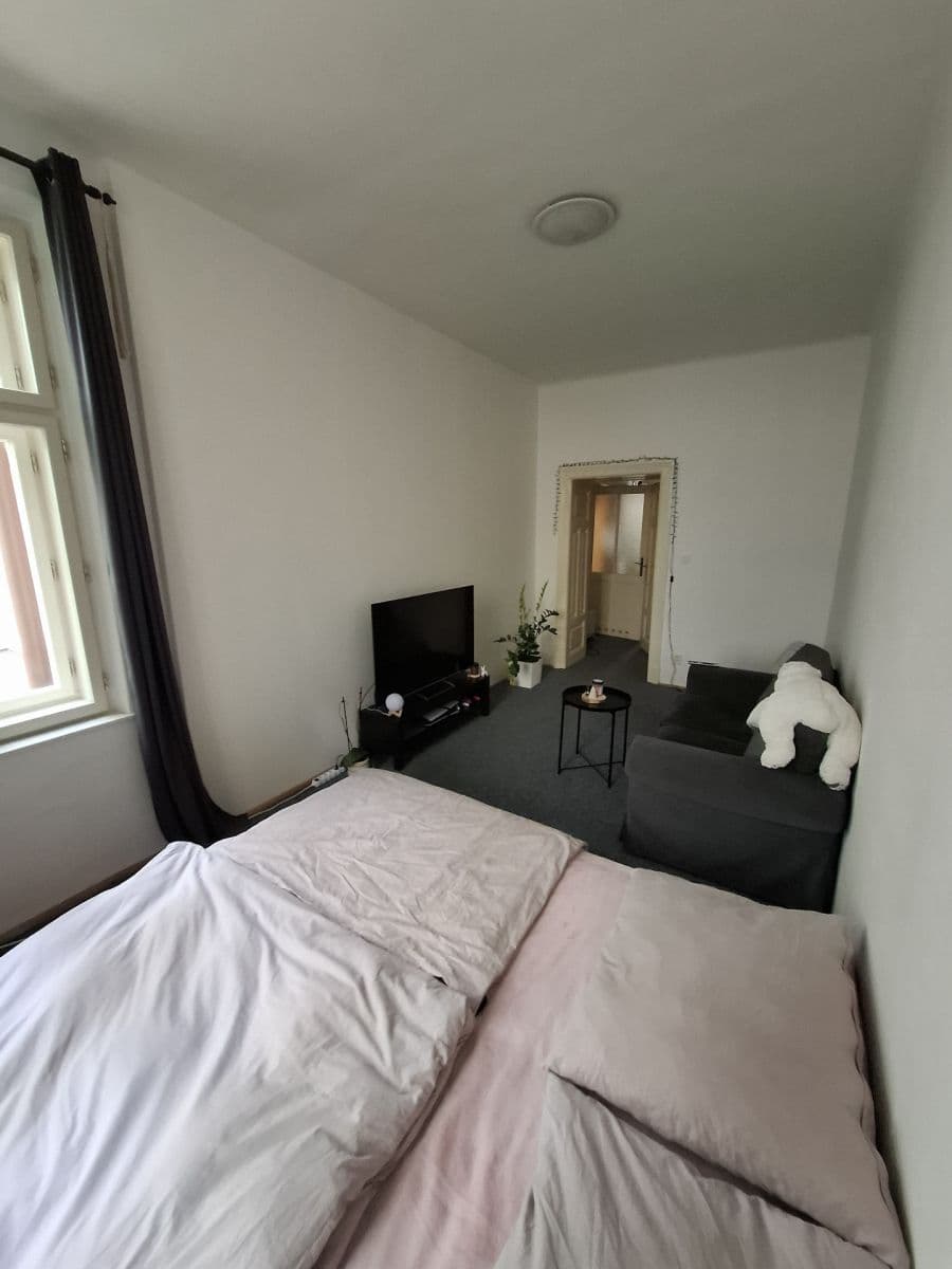 Pronájem bytu 1+1 44 m², Starobrněnská, Brno, Jihomoravský kraj Pronájem bytu 1+1 44 m², Starobrněnská, Brno, Jihomoravský kraj