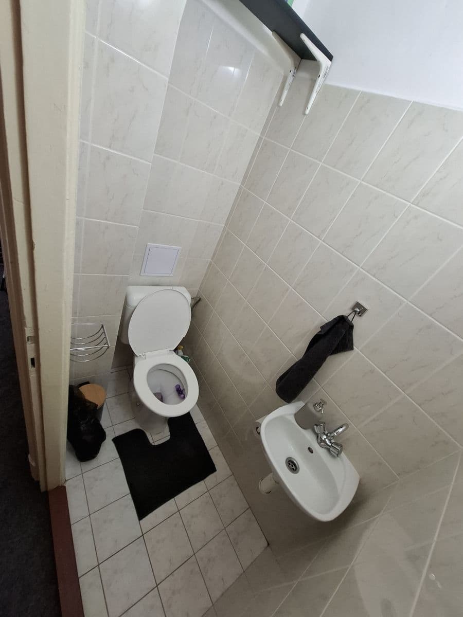 Pronájem bytu 1+1 44 m², Starobrněnská, Brno, Jihomoravský kraj Pronájem bytu 1+1 44 m², Starobrněnská, Brno, Jihomoravský kraj