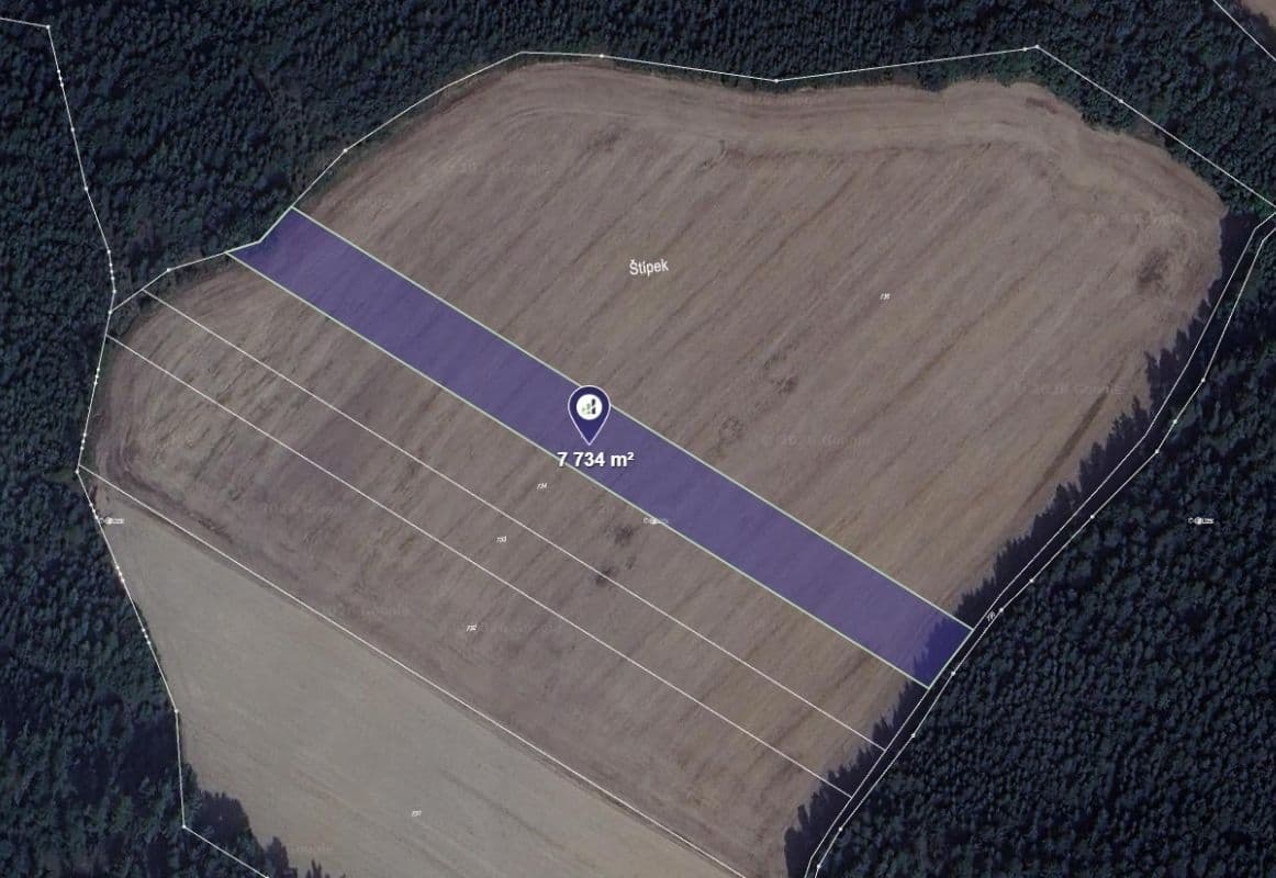 Prodej pozemku 3.867 m², Černíny, Středočeský kraj Prodej pozemku 3.867 m², Černíny, Středočeský kraj