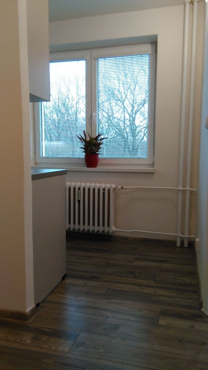 Pronájem bytu 1+1 32 m², Jičínská, Ostrava, Moravskoslezský kraj Pronájem bytu 1+1 32 m², Jičínská, Ostrava, Moravskoslezský kraj